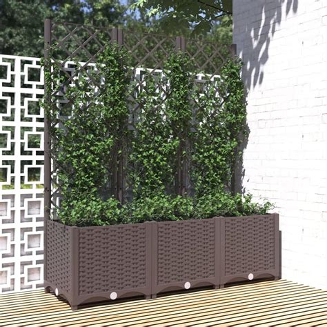 vigne vierge plantée dans un grand bac sur un balcon avec un treillis métallique