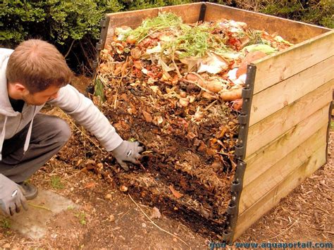 Composteur de jardin avec des déchets organiques