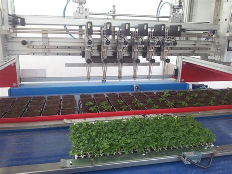 Robot de repiquage Fiorentino en action