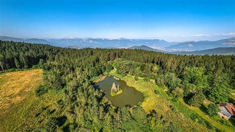 Vue panoramique de l'étang de la Pelouse entouré par sa végétation luxuriante