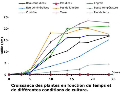 Graphique montrant l'évolution de la croissance de la plante sur une période de 4 mois