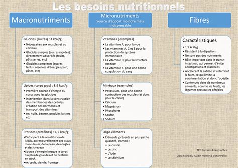 Schéma illustrant les besoins nutritionnels du pommier selon les saisons