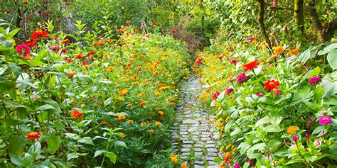Apport de B.R.F dans un jardin naturel