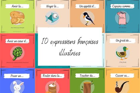 Expressions françaises illustrées avec des animaux