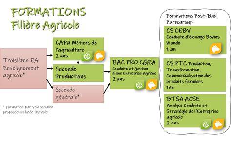 Schéma des étapes de la formation agricole en France