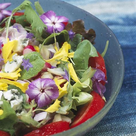 plat de salade décoré avec des fleurs de capucines