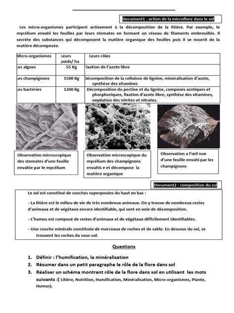 Action des micro-organismes dans la litière
