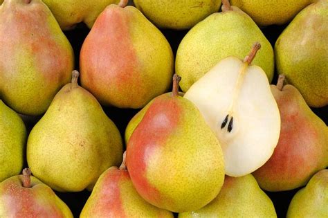 Poire Doyenné du Comice