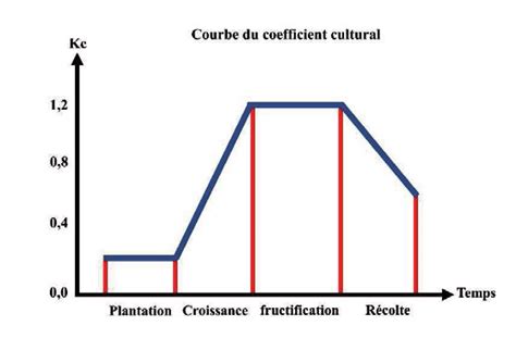 Graphique montrant l'évolution des coefficients culturaux (Kc) selon les stades de croissance des légumes