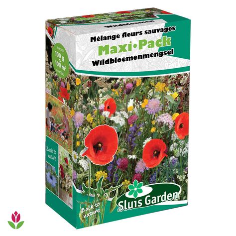Assortiment de mélanges de graines de fleurs sauvages