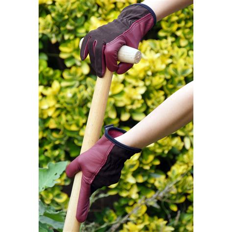 organisation de gants de jardinage suspendus dans un abri de jardin