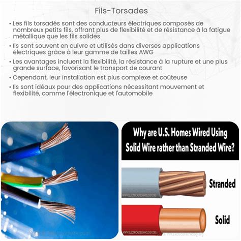 Infographie comparant l'efficacité des fils de coupe ronds, carrés et torsadés selon la végétation