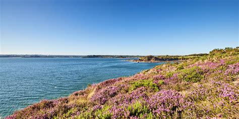 Vue aérienne de la presqu'île de Plougastel avec ses paysages verdoyants et sa proximité avec la rade de Brest