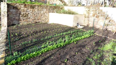 Diagramme illustrant l'exposition au soleil idéale pour un potager