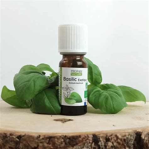 Bouteille d'huile essentielle de basilic