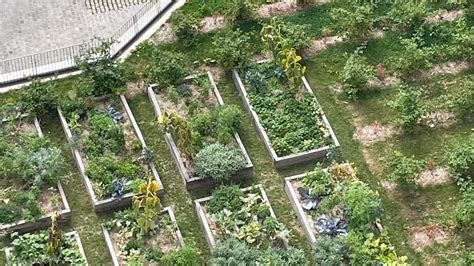 Exemple d'aménagement d'un potager en entreprise