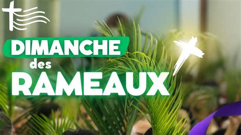 Exemple de jeunes rameaux coupés pour le BRF