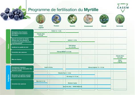 Programme de fertilisation annuel pour bonsaï de bouleau