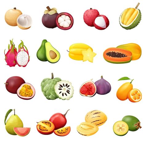 Illustration de fruits exotiques résistants au froid