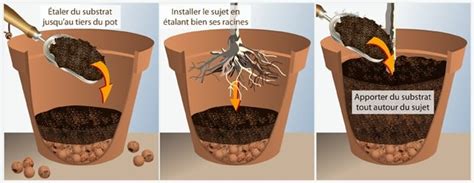 Schéma d'un pot d'agrume avec un bon drainage