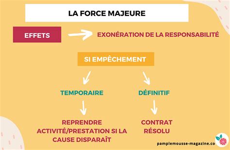 Illustration des critères de la force majeure (imprévisibilité, extériorité, irrésistibilité)