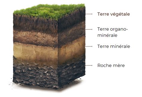 Terre végétale riche et sombre