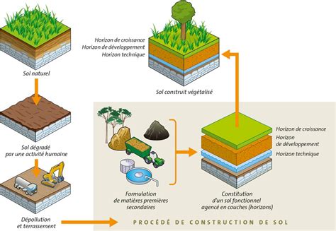 Schéma d'amélioration du sol