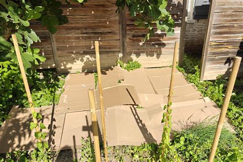 Schéma de l'utilisation du carton en permaculture