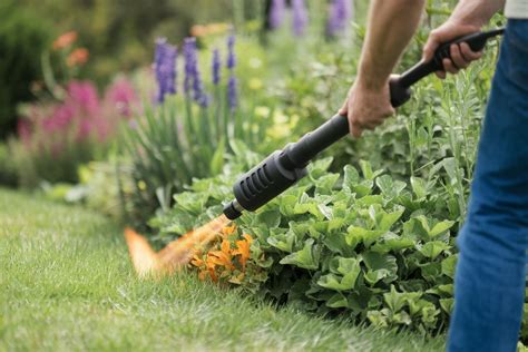 Illustration d'un jardinier utilisant un désherbeur thermique