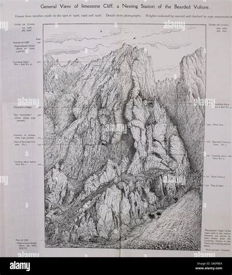 Vue d'une falaise calcaire avec des formations rocheuses caractéristiques