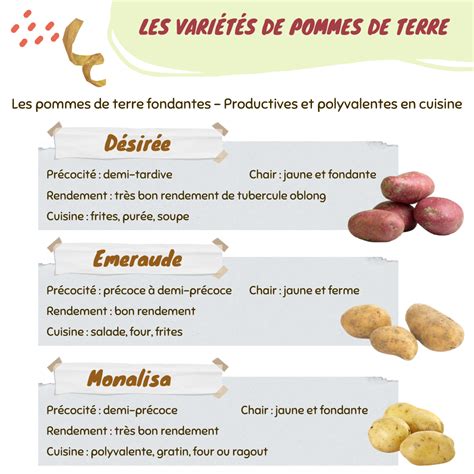 Schéma comparatif des différentes variétés de bruyères