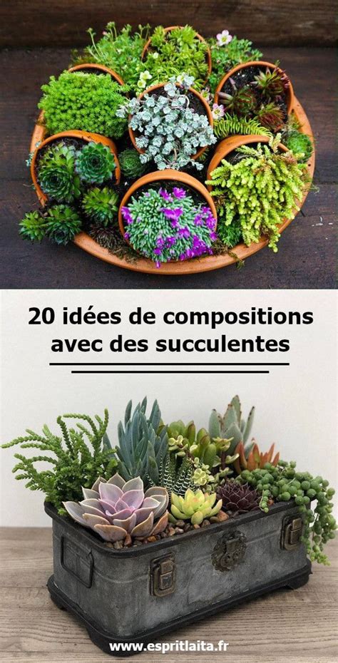 composition florale avec clématite et autres plantes