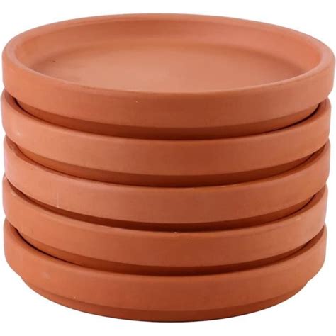 Composition de diverses succulentes dans une large coupelle en terre cuite