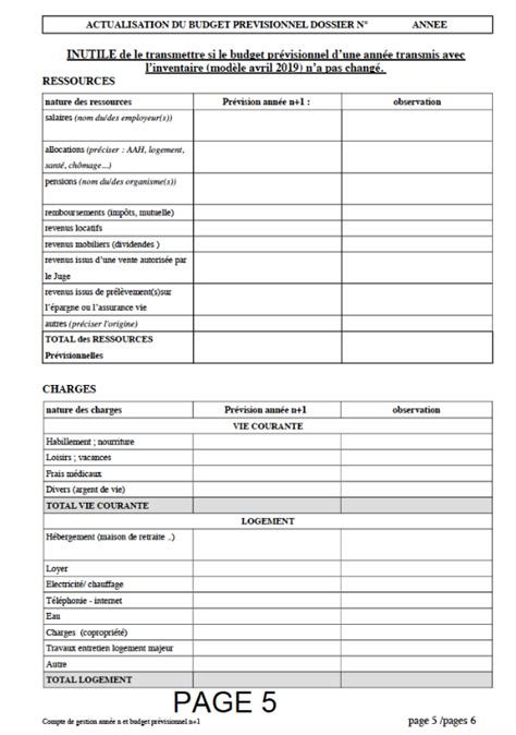 Exemple de formulaire de compte annuel de gestion pour tuteur
