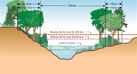 Schéma explicatif illustrant les zones d'attaque des différents parasites sur le rhododendron