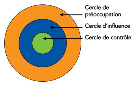 Diagramme montrant les cercles concentriques sur un fruit atteint par le mildiou