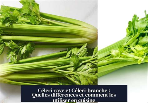 Céleri-rave et céleri-branche en potager