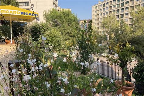 Une vue panoramique sur un jardin méditerranéen en fleurs à Nice sous un soleil radieux