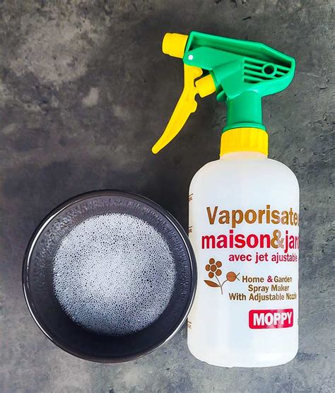 Mélange de vinaigre, sel et liquide vaisselle dans un pulvérisateur