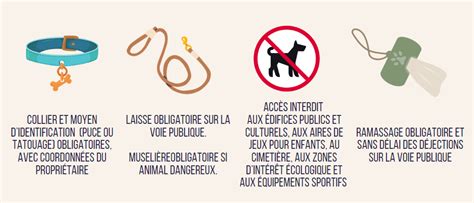 Infographie sur les responsabilités des propriétaires d'animaux domestiques en milieu urbain