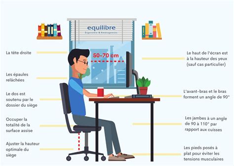 Schéma illustrant l'agencement optimal de succulentes artificielles sur un bureau de travail