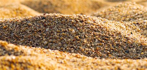 Gros plan sur des grains de sable