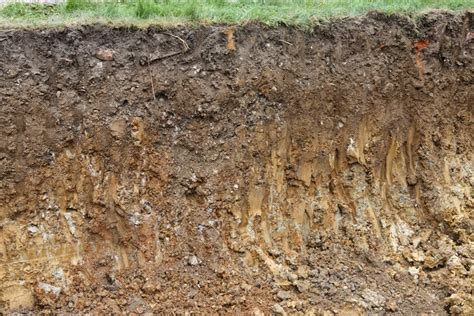 Texture d'une terre argileuse