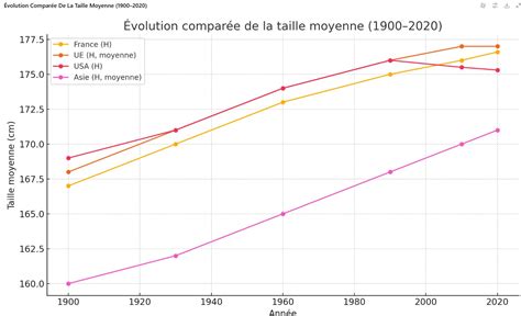 Graphique calendaire indiquant les périodes optimales de taille selon l'âge du prunier