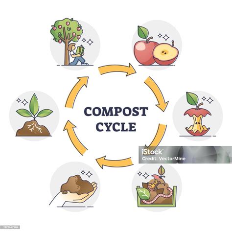 Schéma explicatif du cycle du compostage