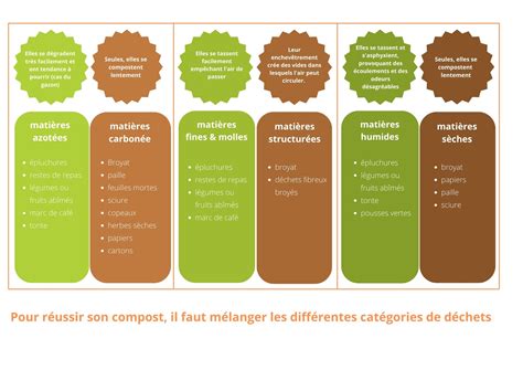 Visuel illustrant divers types de matières vertes