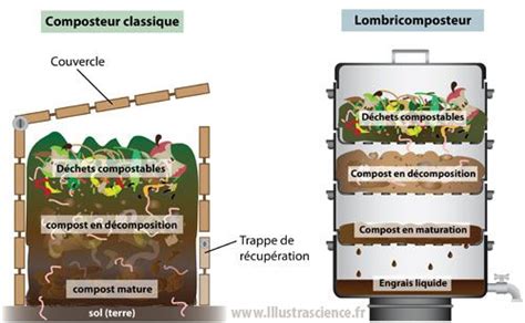 Schéma d'un composteur avec différentes couches et symboles d'animaux
