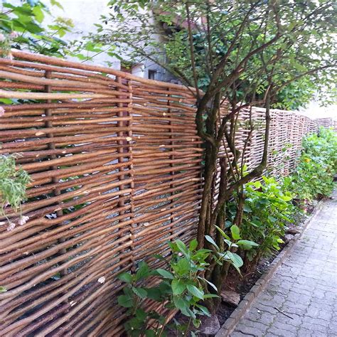 association de panneaux en noisetier et plantes grimpantes