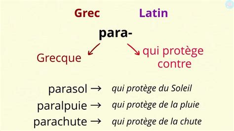 Schéma comparatif des termes grecs et latins pour le figuier sauvage et cultivé