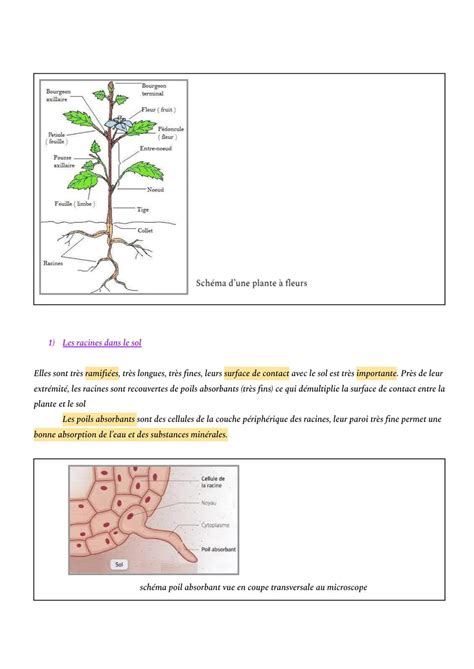 Schéma illustrant la rusticité des plantes